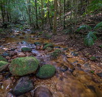 Starrs Creek picnic area - Tweed Heads Accommodation