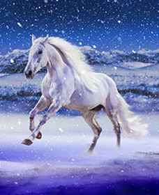 Australian Outback Spectacular: High Country Legends - Tweed Heads Accommodation 1