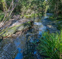 Dawson River walking track - Tweed Heads Accommodation