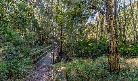 Dawson River Walking Track - Tweed Heads Accommodation 1