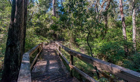 Dawson River Walking Track - Tweed Heads Accommodation 3