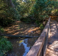 Ms Kellys walking track - Tweed Heads Accommodation