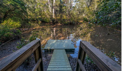 Brimbin Picnic Area - Tweed Heads Accommodation 1