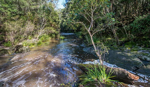 Brimbin Picnic Area - Tweed Heads Accommodation 2