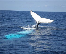 Booderee National Park: Cape St George Lighthouse - Tweed Heads Accommodation 1
