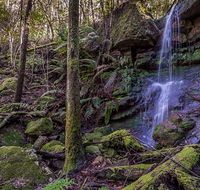 Coorabakh National Park - Tweed Heads Accommodation