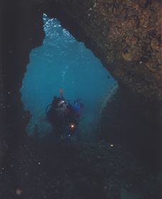 Tangalooma Wrecks Dive Site - Tweed Heads Accommodation 3