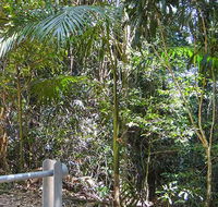 Goorgana walking track - Tweed Heads Accommodation