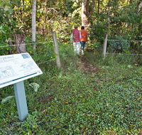 Coramba Nature Reserve - Tweed Heads Accommodation