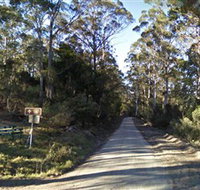Box Cutting Rainforest Walk - Tweed Heads Accommodation