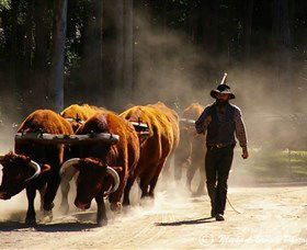 Timbertown Heritage Theme Park - Tweed Heads Accommodation 1