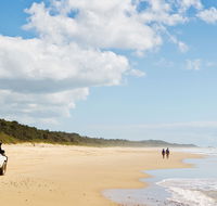 Bongil Bongil National Park - Tweed Heads Accommodation