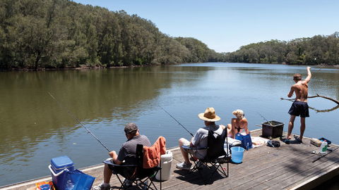 Bongil Bongil National Park - Tweed Heads Accommodation 1