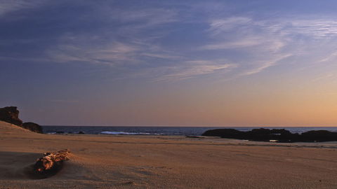 Bongil Bongil National Park - Tweed Heads Accommodation 2