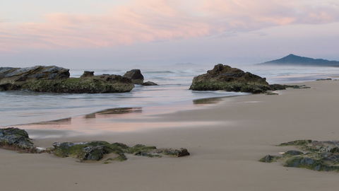 Bongil Bongil National Park - Tweed Heads Accommodation 3