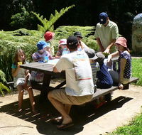 The Pines picnic area - Tweed Heads Accommodation