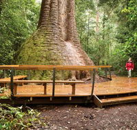 Burrawan State Forest - Tweed Heads Accommodation