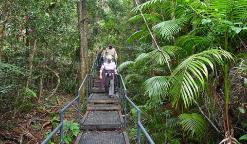 Falls Walking Track - Tweed Heads Accommodation 2