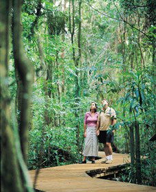 Victoria Park Nature Reserve - Tweed Heads Accommodation 1