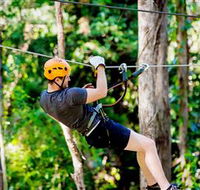 TreeTop Challenge Currumbin - Tweed Heads Accommodation