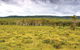Yuraygir National Park - thumb 0