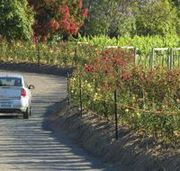 Cassegrain Wines - Tweed Heads Accommodation