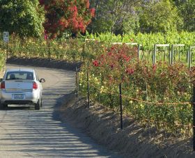 Cassegrain Wines - Tweed Heads Accommodation 0