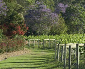 Cassegrain Wines - Tweed Heads Accommodation 1