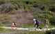 Yuraygir Coastal Walk - thumb 0
