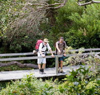 Wilsons Headland walking track - Tweed Heads Accommodation