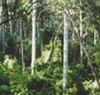 Lind National Park - Tweed Heads Accommodation