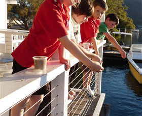 Dunbogan Boatshed - Tweed Heads Accommodation 3