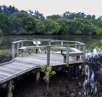 Walk on Water walking track - Tweed Heads Accommodation