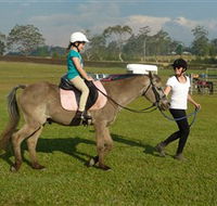 Port Macquarie Horse Riding Centre - Tweed Heads Accommodation