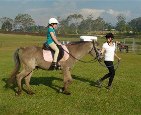 Port Macquarie Horse Riding Centre - Tweed Heads Accommodation 0