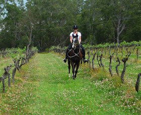 Port Macquarie Horse Riding Centre - Tweed Heads Accommodation 1
