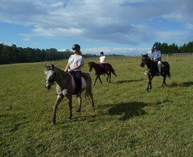 Port Macquarie Horse Riding Centre - Tweed Heads Accommodation 5