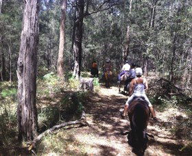 Port Macquarie Horse Riding Centre - Tweed Heads Accommodation 4