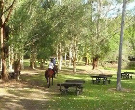 Port Macquarie Horse Riding Centre - Tweed Heads Accommodation 6