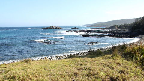 Mimosa Rocks National Park - Tweed Heads Accommodation 0