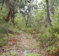Kinchela Trig Lookout walk - Tweed Heads Accommodation