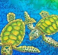 Sea Silks Gallery - Tweed Heads Accommodation