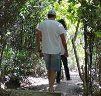 Three Sisters walking track - Tweed Heads Accommodation