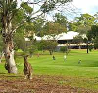 Pambula Merimbula Golf Club - Tweed Heads Accommodation