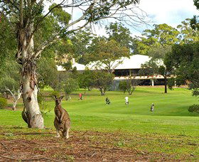 Pambula Merimbula Golf Club - Tweed Heads Accommodation 0