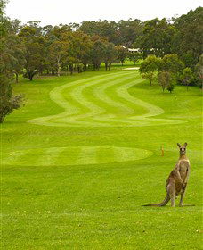 Pambula Merimbula Golf Club - Tweed Heads Accommodation 2