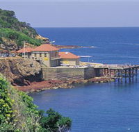 Merimbula Aquarium - Tweed Heads Accommodation