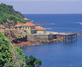Merimbula Aquarium - Tweed Heads Accommodation 0