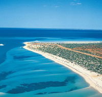 Monkey Mia - Tweed Heads Accommodation