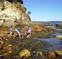 Sapphire Coast Marine Discovery Centre - Tweed Heads Accommodation
